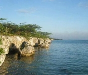 Aruba500