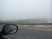 Туман в то утро стоял аж до Луги