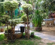 Baan Suan Guest House