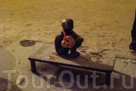 Крошечный мальчик, сидящий на постаменте, обняв руками колени ("Мальчик, смотрящий на луну") – это самая маленькая скульптура в мире. Стокгольм.