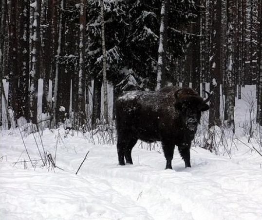 На Сябрыньских озёрах