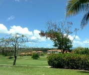 The Woods at Palmas del Mar
