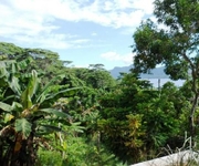 Blue Valley Self Catering