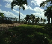 The Woods at Palmas del Mar