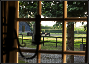 Сквозь классические голландские окна "на девять стекол" с перегородками, делящими окно на квадратики, видна зелень сада и лошадки.
