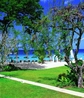 Фото Coral Reef