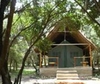 Фотография отеля Enchoro Wildlife Camp Tents Masai Mara