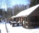 Фото Прудовое