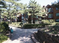 Фото отеля Jeju Geumgangsan Condo