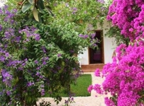 Alican Pension Cirali
