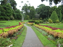 Ландшафты - Королевский ботанический сад.