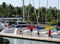 Musket Cove Island Resort