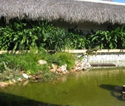 Iberostar Varadero
