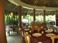 Casa Iguana All Suites