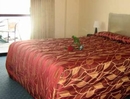 Фото At The Rocks Motor Lodge