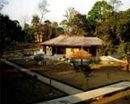 Фото Rhino Residency Resort Chitwan
