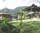 Фото Golden Frog Inn