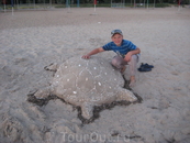До 11 утра можно посещать детские-лагерные пляжи. Качесво песка значительно лучше и вода чище. А эта черепаха выиграла конкурс песчаных фигур.