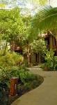 Hotel Playa Hermosa Bosque del Mar Culebra