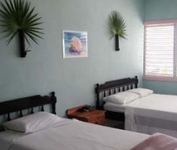 Conch Shell Inn