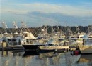 Фото Los Suenos Rentals