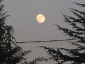 Луна судацкая вечерняя.