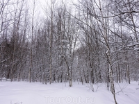 Небо пасмурное и идет снег, но все равно красиво. Небо пасмурное и идет снег, но все равно красиво.