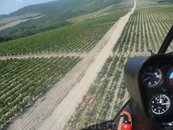 Над виноградными полями на вертолете