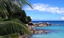 Bliss Hill Secret Garden