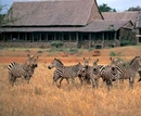 Фото Kilaguni Serena Safari Lodge