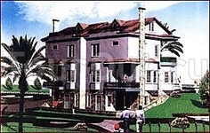 Nesil