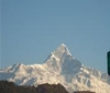 Фотография отеля New Pokhara Lodge