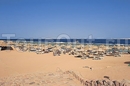 Фото Sea Club Resort