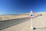 Западная Сахара, Дахла. Мекка серферов.