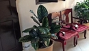 Фото Malida Guesthouse