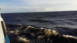 Волна достигала 1,5 метров.