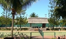 Фото Royal Palm