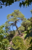 Гранд Тур – Киккос
Узнайте Кипр за один день
Если Вы хотите осмотреть практически весь остров за один день, то эта экскурсия для Вас! Она включает в ...