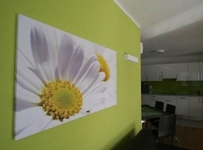 Apartments & Wellness Skok