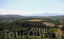 Бескрайние сады оливок и винограда - это всё территория завода, которая обьединяет несколько селений.