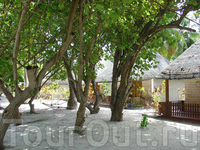 Фото отеля Lohifushi 