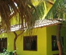 Фото Tamarindo Backpackers