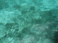 вода вблизи островов  Phi-phi