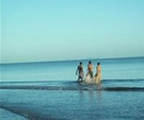 Фото Tropic of Capricorn Resort