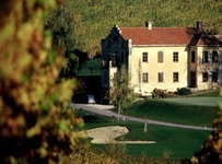 Wine Growers Mansion Zlati Gric