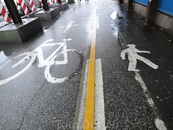 В Копенгагене 350 км. велосипедных дорог. О пешеходах тоже позаботились. У них - отдельная дорожка.