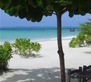 Фото Next Paradise Boutique Resort
