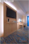 Radisson Blu Hotel Muscat