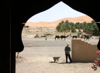 Bivouac les Touareg chez Bachir