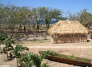 Фото Buena Onda Beach Resort